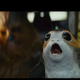 The main character of this movie as I understand it. Screenshot via The Last Jedi/LucasFilm